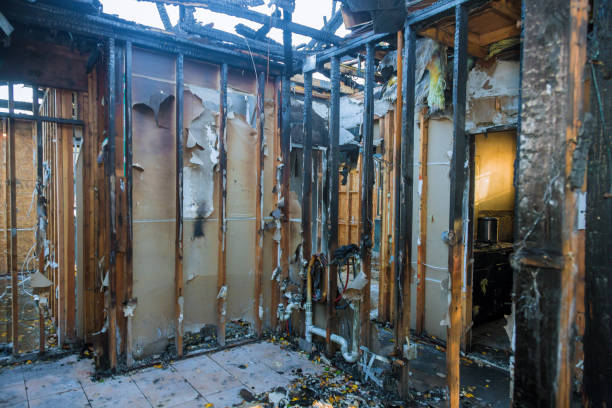 Professional Soot Cleanup technician working in Elmwood Park, IL
